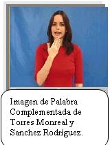 Mostramos una imagen del vídeo digital contenido en el programa de S. Torres Monreal y J. Sánchez